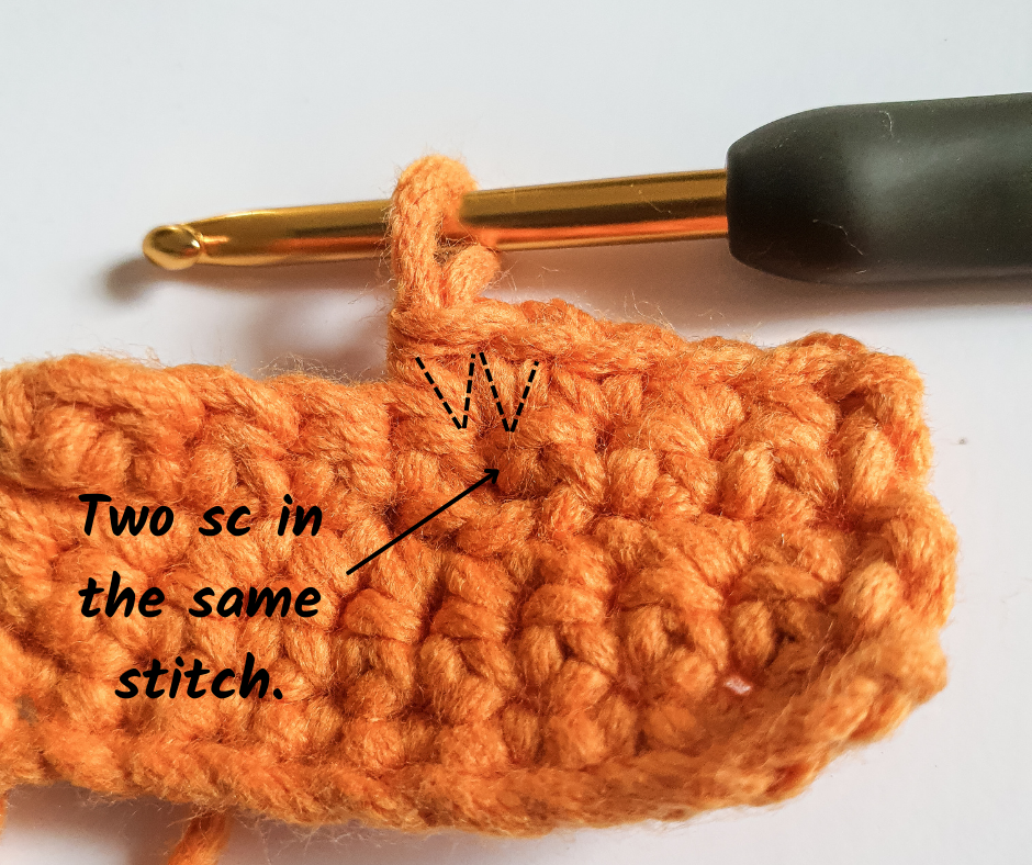 single crochet stitch - make 2 sc in the same stitch
